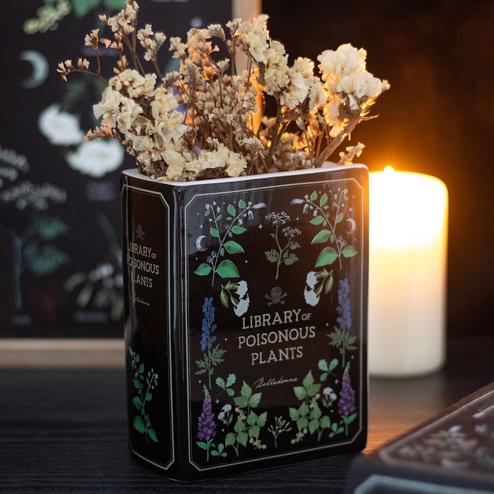 🌿 The Green Apothecary Gift Box