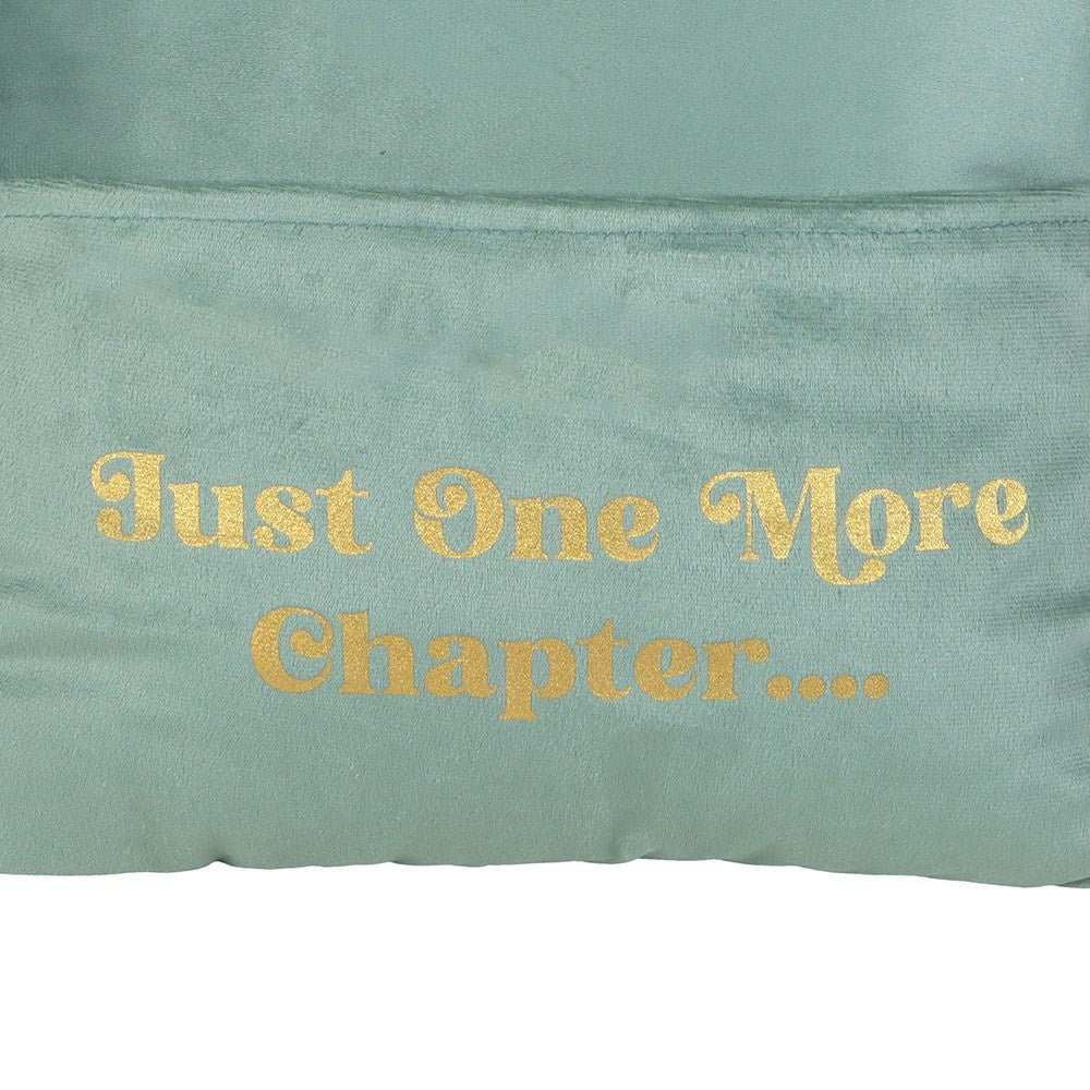 "Just One More Chapter" reading pillow